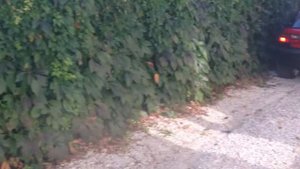 Honda civic eg subaru sound