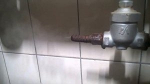 Принцип работы конденсатоотводчика ТВ9N MIYAWAKI