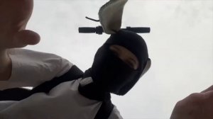 ИРЛ - СЕМИКС УКРОЩАЕТ СКЕЙТ И ЭЛЕКТРОСАМОКАТ