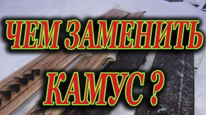 Охотничьи лыжи  (чем заменить КАМУС? )