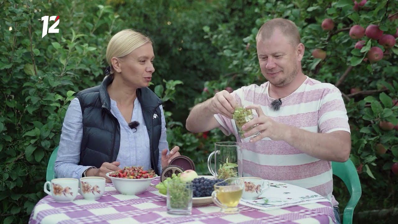 Удачник дачник садовод. Дачники сериал 2017. Дачники приложение. Приложение для садоводов огородников. Дачник вывеска.