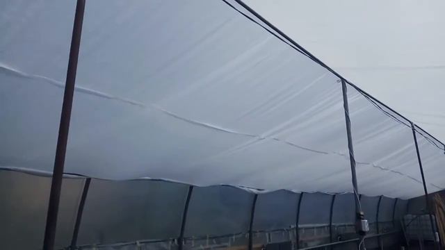 Агроволокно як заміна побілці вапном плівки теплиці! / Агроволокно-замена побелке смотреть онлайн