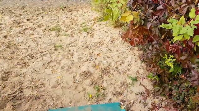 Краски осени. ?Дача. Молочное озеро. ? Волгаренок Самара. Сухая Самарка смотреть онлайн