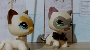 пов: я в шараге✨ LPS на случай важных переговоров.