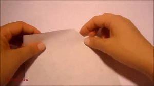 Фрукты и овощи в технике оригами.Баклажан
