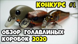 Мои голавлиные коробки, первый конкурс на канале)