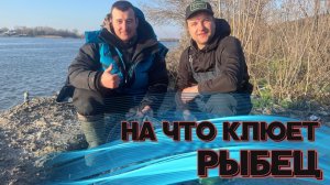 КАК СОБРАТЬ НА ТОЧКЕ РЫБЦА? ЧТО ДЛЯ ЭТОГО НУЖНО? (+и-) РЫБАЛКА И ОТДЫХ В КРУГУ ДРУЗЕЙ. РЫБАЛКА 2023