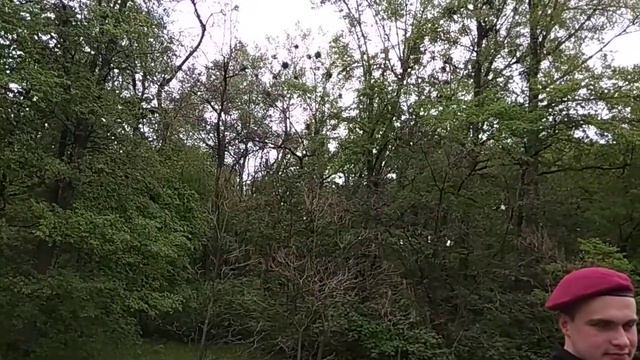 ОткрылРот на "беркут" смотреть онлайн