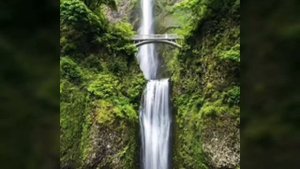 Бакара сураси 285-286 ойатлари Аманар росули ойати