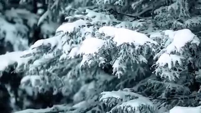 Красивая мелодия до слёз! Волшебные зимние мелодии! Чарующая зимняя музыка Сергея Чекалина смотреть онлайн