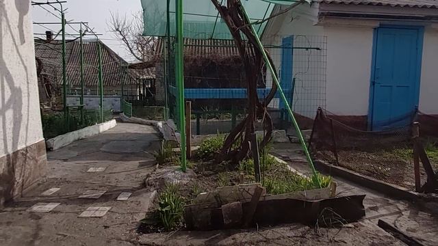 ЦВЕТЕТ АБРИКОС ... смотреть онлайн