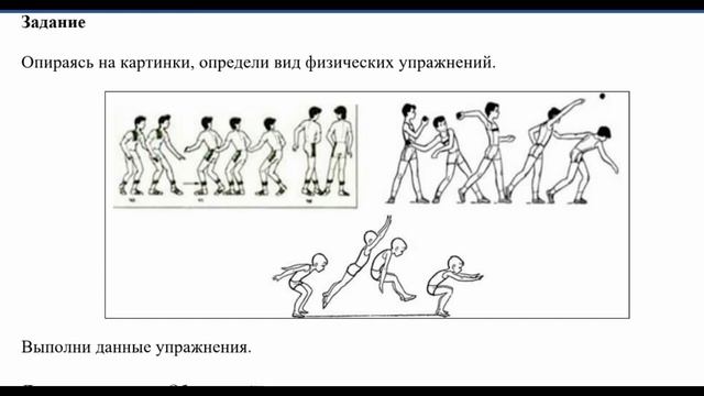 Контрольная работа по физре 2 класс. Сочинение на уроке физкультуры. Задание 3 тема 1 урок физкультуры. Теоретические задания по физической культуре 1-4 класс. Задание 3 тема 1 урок физкультуры.