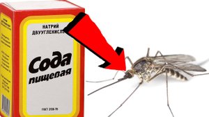 Как быстро избавиться от комаров за 3 Секунды!!!!!!!