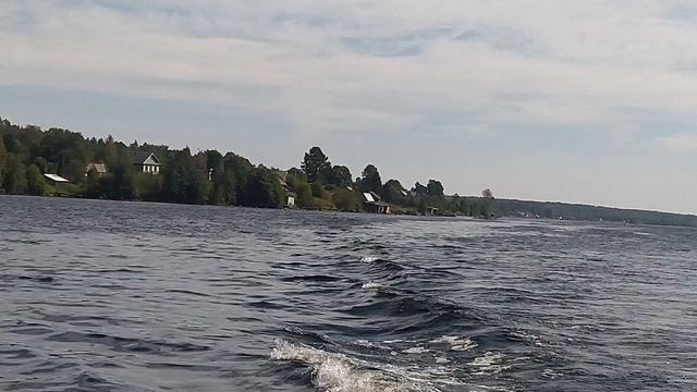 VID_20220819_124407.mp4