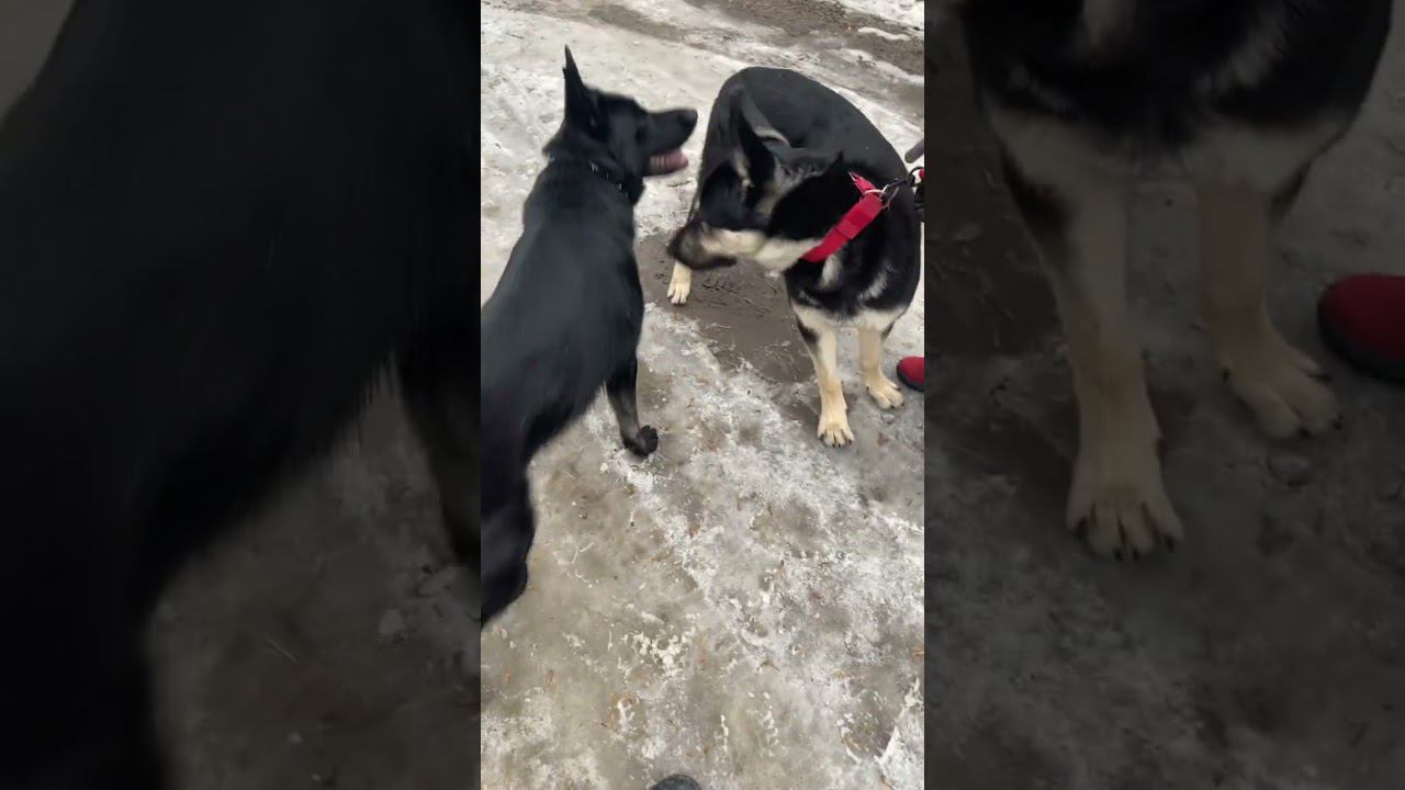 3 апреля 2024 г. смотреть онлайн