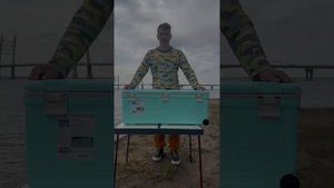 Термобокс термоконтейнер изотермический SHINWA Holiday Land Cooler 76H