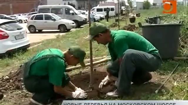 Новости Самары. Новые деревья на Московском шоссе смотреть онлайн