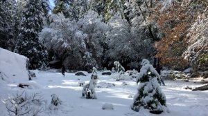 Игра в снежки.mp4