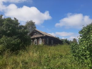 Нашли гроб хозяйки в брошенном доме. Глушь Ярославской области