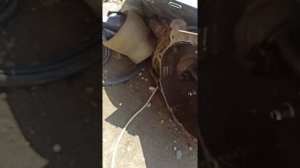 Крайслер 300 м нет искры