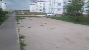 Рябиновка: район в поле под Омском