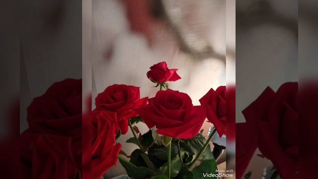 Поздравление с  праздником Весны 8 марта! #восьмоемарта