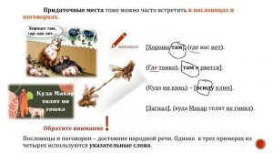 СПП с придаточным места