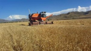 Sk-5 NIVA. СК-5 НИВА комбайн cummins 5.9. 6BT