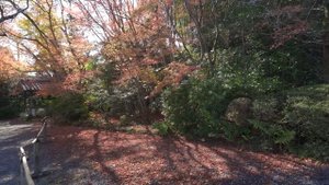 京都の日本庭園 40選:THE 40 JAPANESE GARDENS IN KYOTO