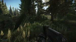 Квест "поручение" Как найти записку Егеря карта Лес | Escape from Tarkov