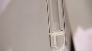 Денатурация белка в спирте