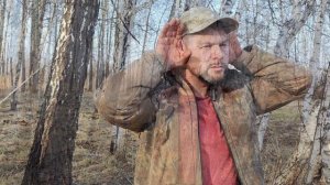 Как улучшить слух в лесу?