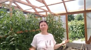 6 июля 2022г. СТРОЙКА ДАЛА ТЕЧЬ жара ХРИЗАНТЕМА