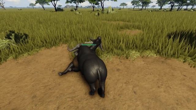 Wild Savannah Funniest Update | ROBLOX смотреть онлайн