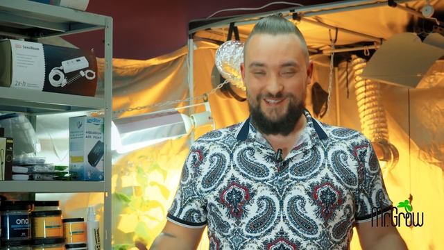 #1 Как выращивать растения дома / Mr.GrowChannel