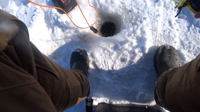 ЛОВЛЯ ЧЕХОНИ СО ЛЬДА ! Рыбалка на Оке 2021! смотреть онлайн