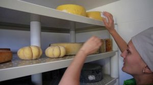 Как созревает Камамбер  на пластиковых стеллажах "Экополис" / Как делают сыр в "Сыроварне Елисеевых"
