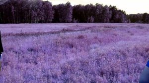 Клип под песню Юлианны "Внеорбитные" снятый друзьями в подарок подруге на День Рождение