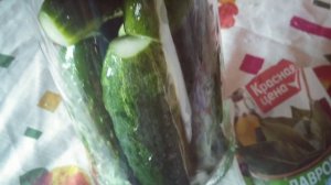 Маринованные огурцы