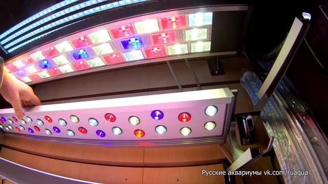 Светильники 2-21. Птичий рынок смотреть онлайн