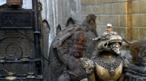 Мой фильм непал 5555