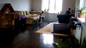 Смешные коты