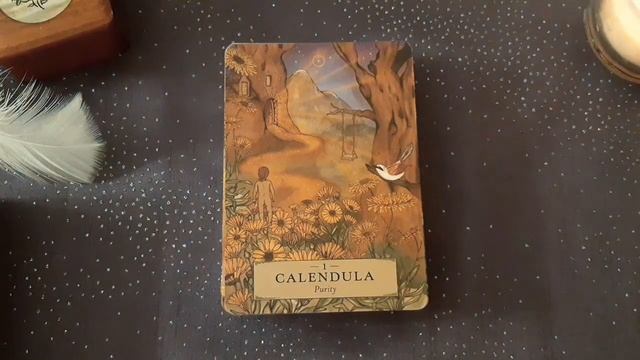 REVIEW - The Herbal Astrology Oracle - Adriana Ayales & Joséphine Klerks смотреть онлайн