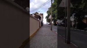 Адлер,гостевой дом Санлит, улица 8 марта 24А