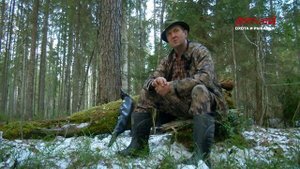 За боровой дичью. Часть 1. Охота на Русском Севере.