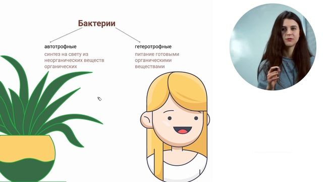Бактерии: автотрофы и гетеротрофы смотреть онлайн