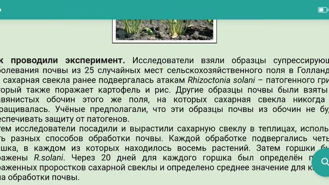 Эксперимент №39 из Campbell для ЕГЭ - Прокариоты и супрессирующая почва для свёклы смотреть онлайн