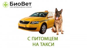 С питомцем на такси