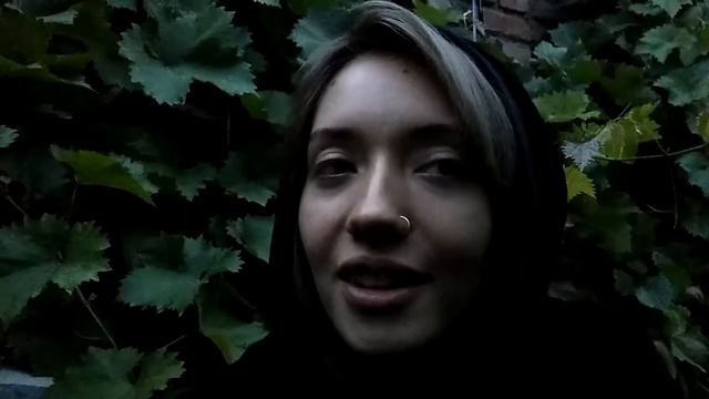 ?"Березка" Сергей Есенин смотреть онлайн