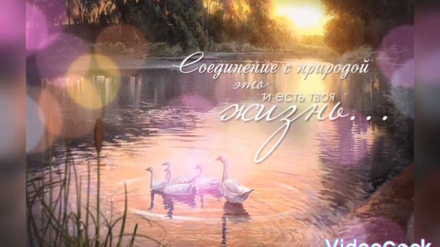 @Добрый вечер, отличного настроения 💞💞💞💞💞. смотреть онлайн